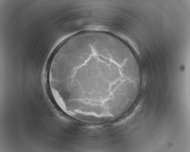 X0000116441125201001191526