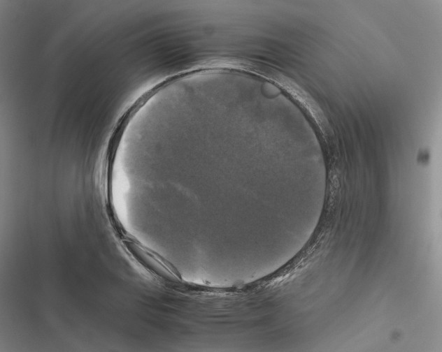 X0000116441127201001191526