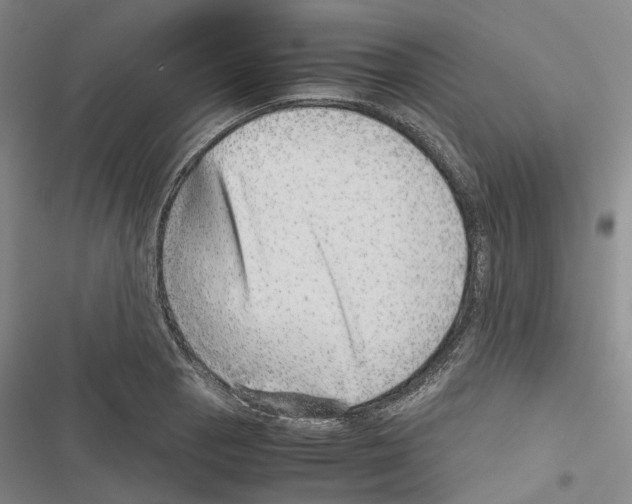 X0000116441129201001191526