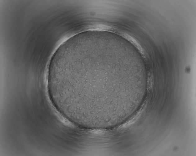 X0000116441130201001191526