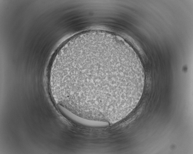 X0000116441133201001191526