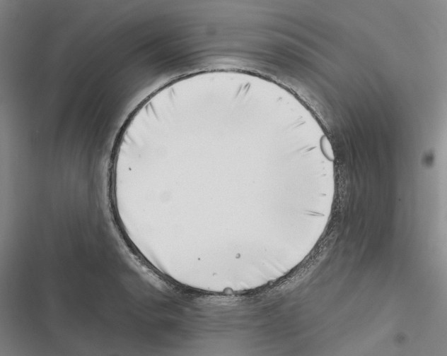 X0000116441134201001191526