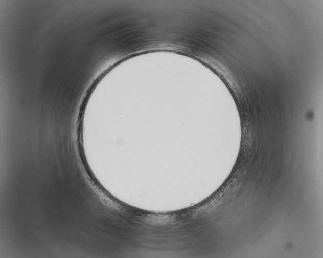 X0000116441135201001191526