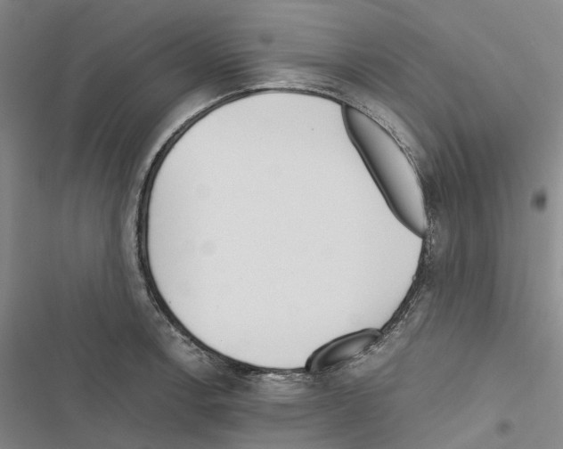 X0000116441138201001191526