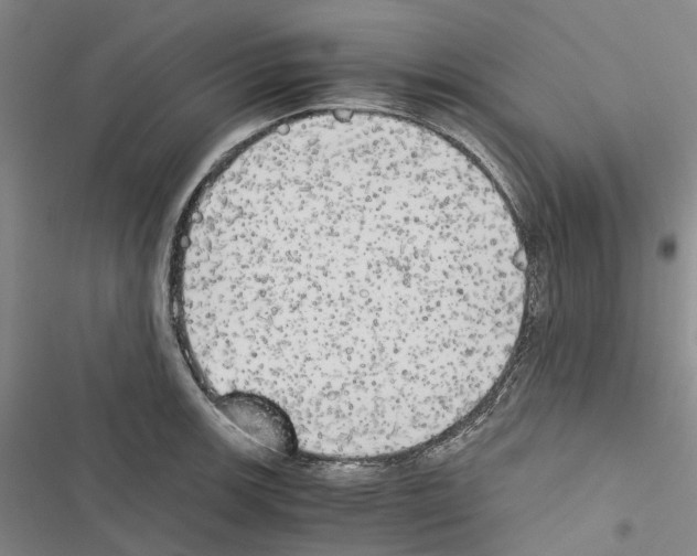 X0000116441139201001191526