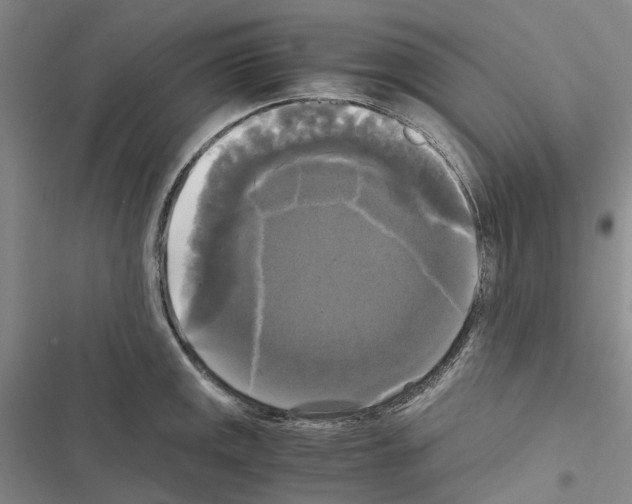 X0000116441141201001191526