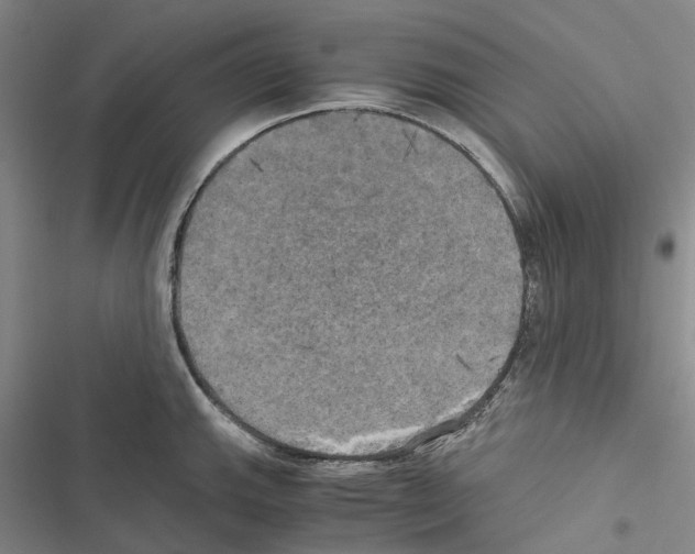 X0000116441143201001191526