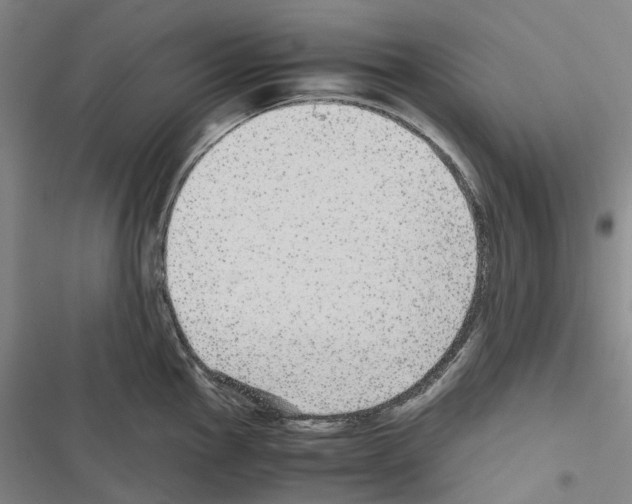 X0000116441145201001191526