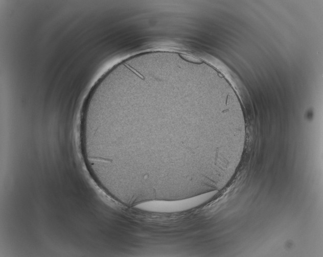 X0000116441147201001191526