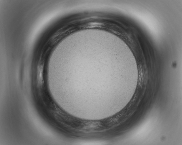 X0000116441150201001191526