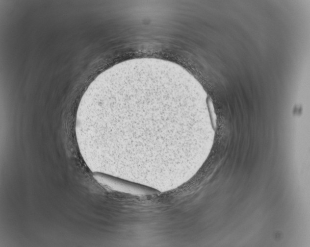 X0000116441153201001191526