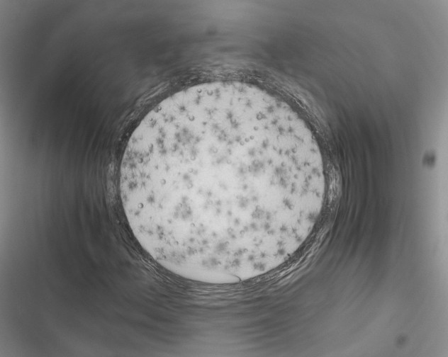 X0000116441156201001191526