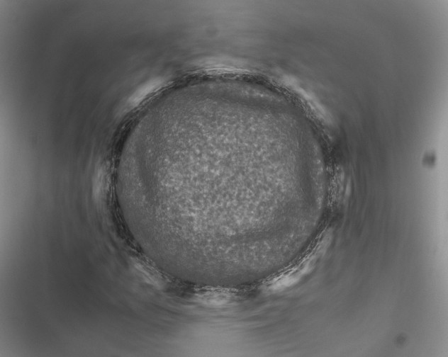 X0000116441157201001191526