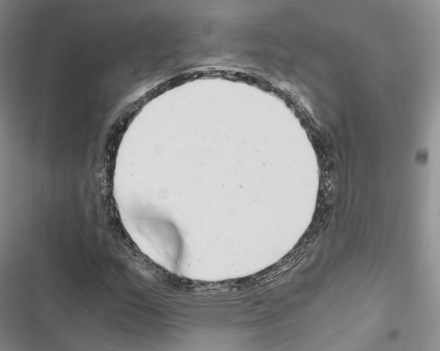 X0000116441159201001191526