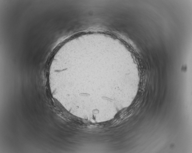 X0000116441160201001191526