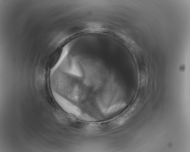 X0000116441161201001191526