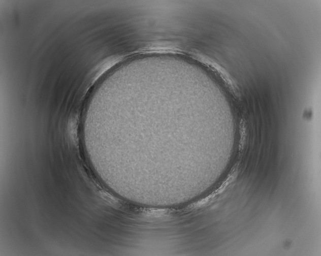 X0000116441162201001191526