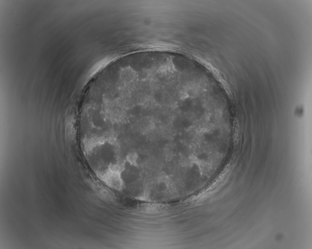 X0000116441163201001191526