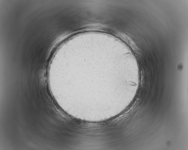 X0000116441164201001191526