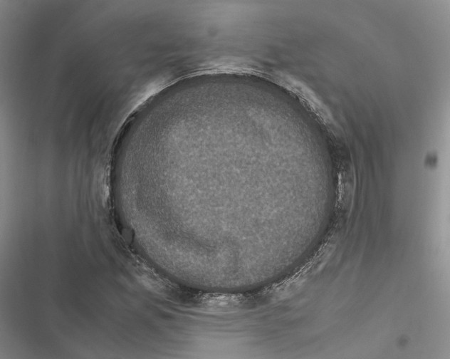 X0000116441165201001191526