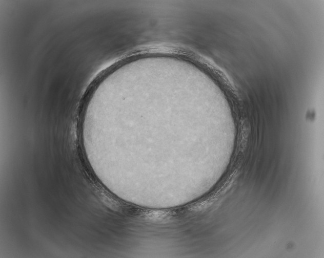 X0000116441166201001191526