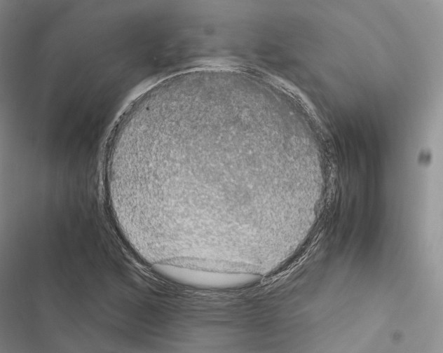 X0000116441168201001191526