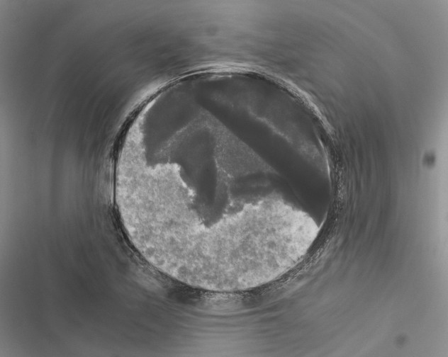 X0000116441171201001191525