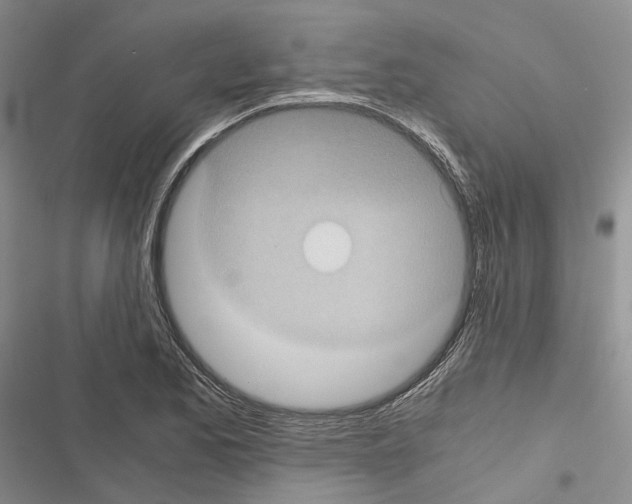 X0000116441173201001191525