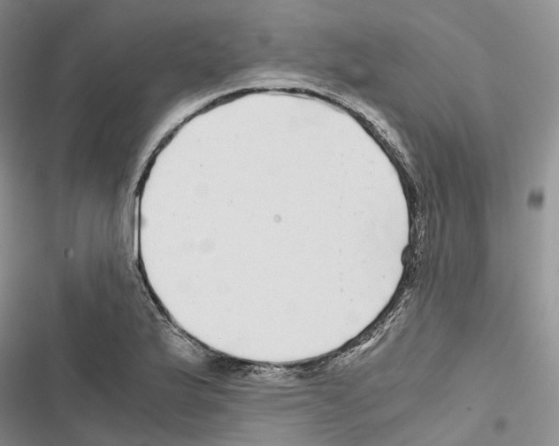 X0000116441175201001191525