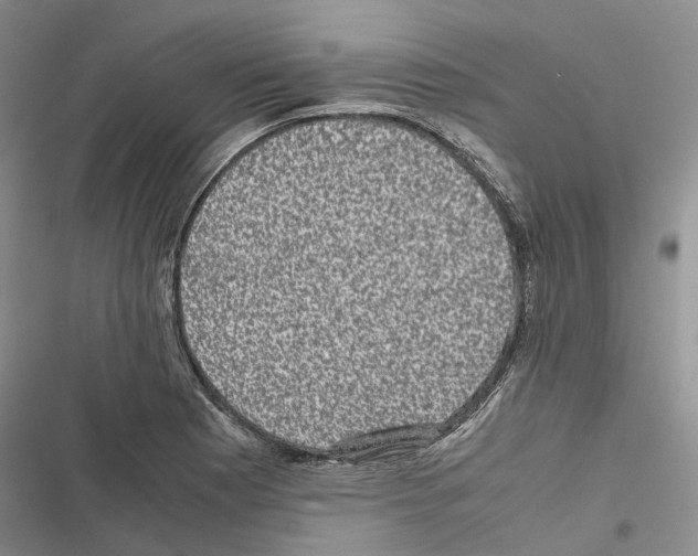 X0000116441177201001191525