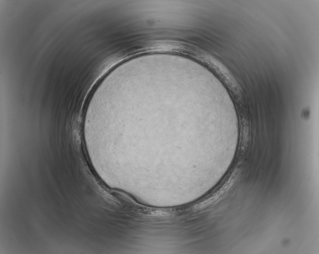 X0000116441178201001191525