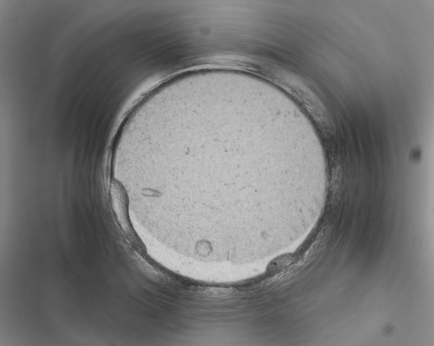 X0000116441180201001191525