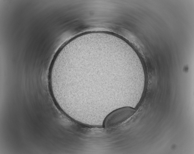 X0000116441181201001191525