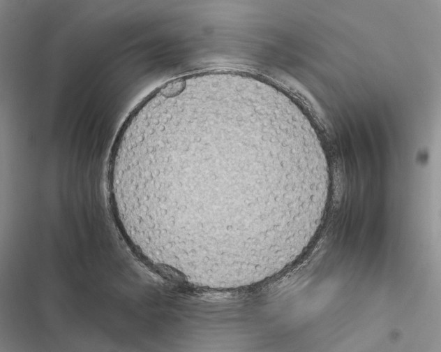 X0000116441182201001191525