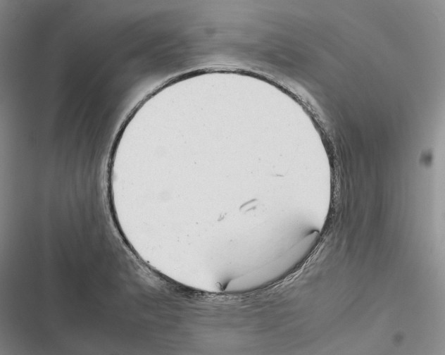 X0000116441183201001191525