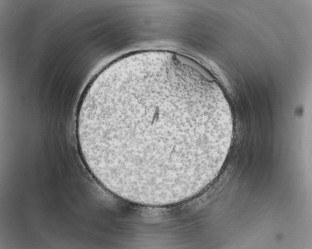 X0000116441184201001191525