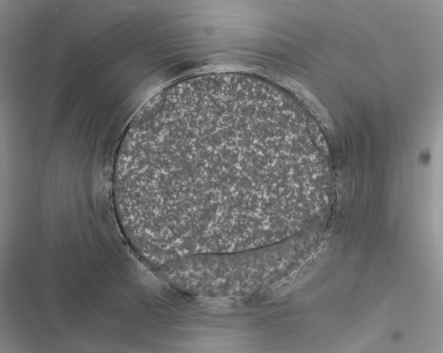 X0000116441185201001191525