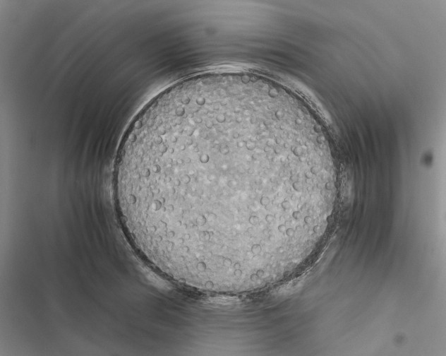 X0000116441186201001191525