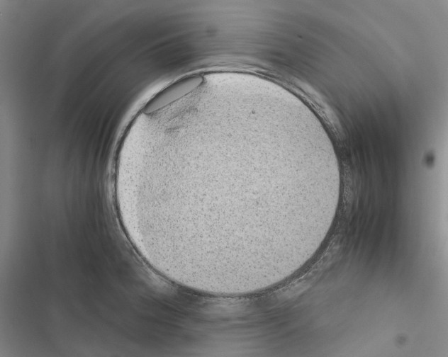 X0000116441188201001191525