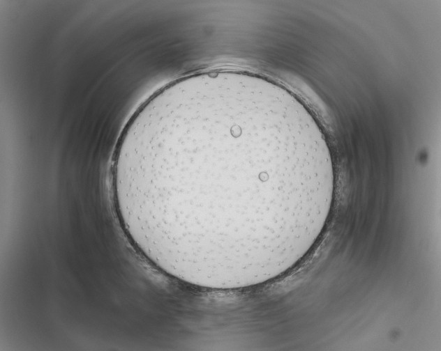 X0000116441190201001191525