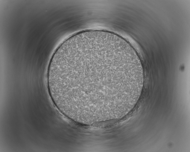 X0000116441191201001191525