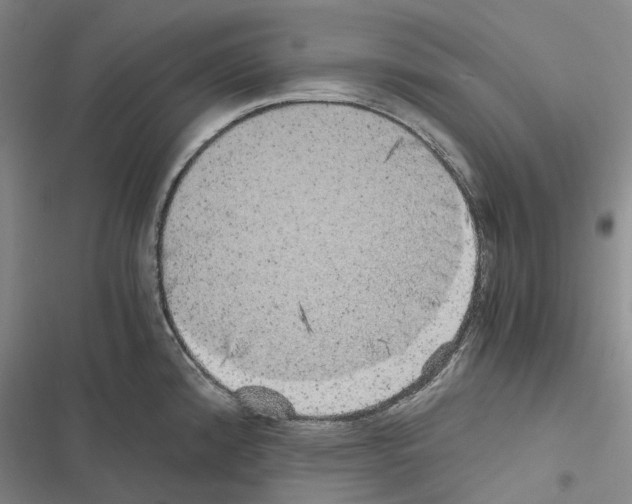 X0000116441192201001191525