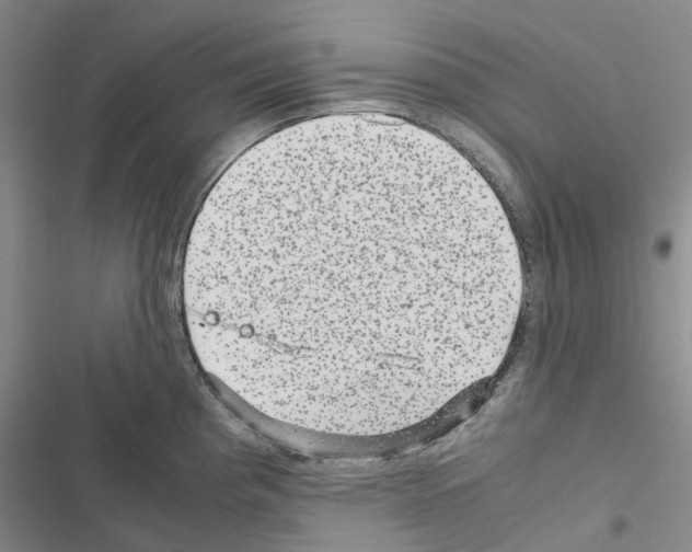 X0000116441193201001191525