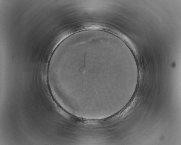 X0000116441194201001191525