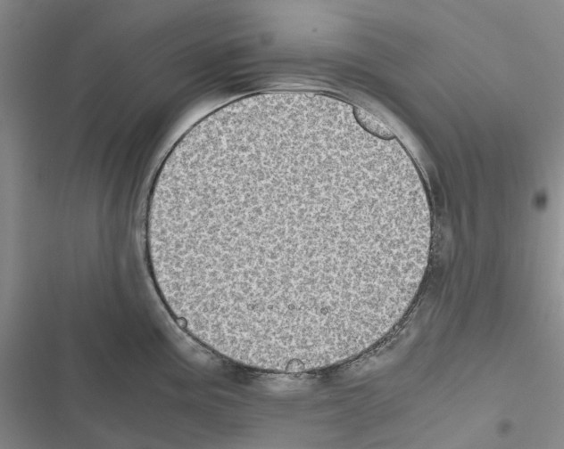 X0000116441195201001191525