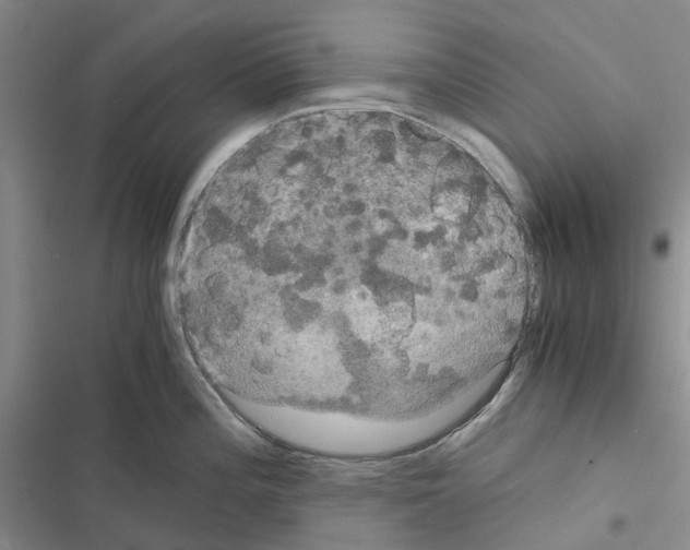 X0000116441196201001191525