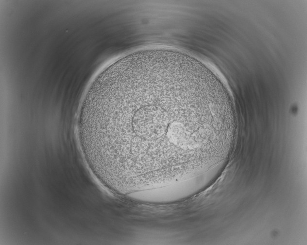 X0000116441197201001191525