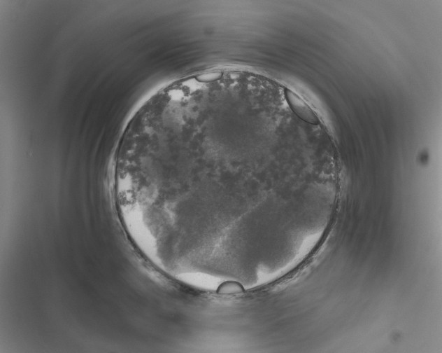 X0000116441198201001191525