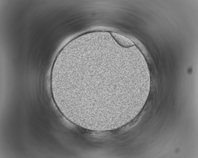 X0000116441199201001191525