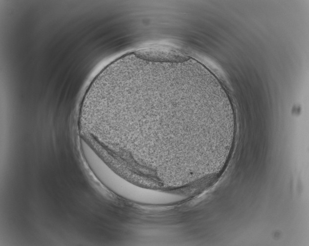 X0000116441200201001191525